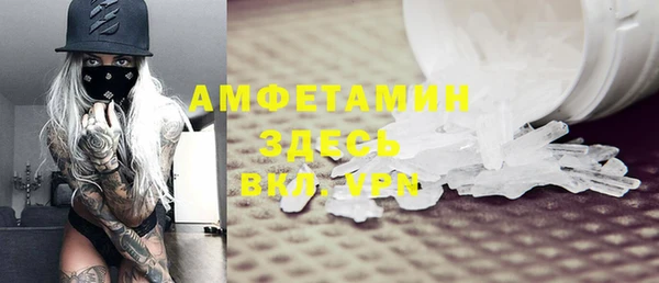 ГАЛЛЮЦИНОГЕННЫЕ ГРИБЫ Бородино