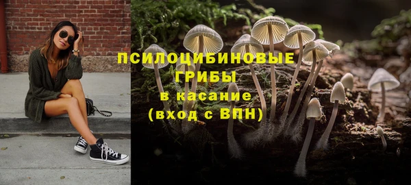 дживик Бронницы