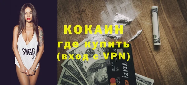 дживик Бронницы