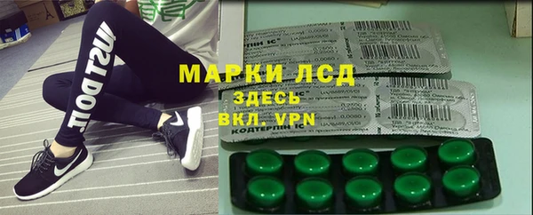 ГАЛЛЮЦИНОГЕННЫЕ ГРИБЫ Бородино
