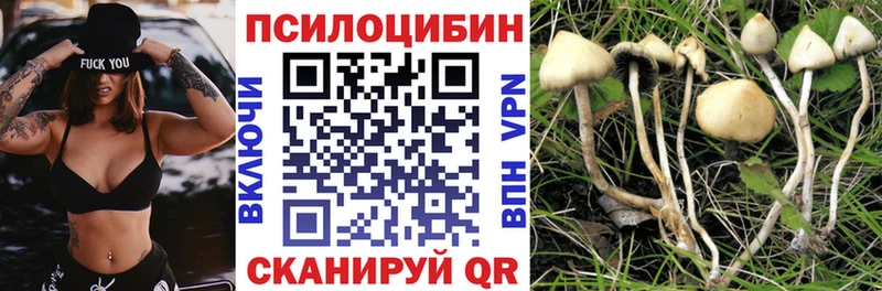 Галлюциногенные грибы мухоморы  Новороссийск 