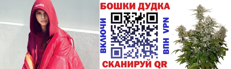 Бошки марихуана THC 21%  Новороссийск 
